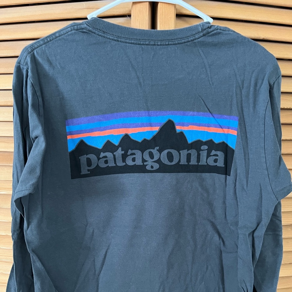 Patagonia tee shirt